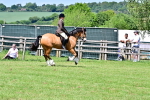 SBM_08003
