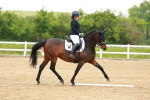 SBM_006038