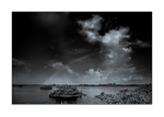 Brevard County - Merritt Island NWR III