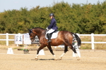 SBM_017930