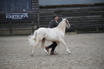 SBM_004594