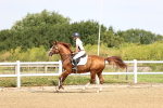 SBM_000242