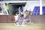 SBM_000482