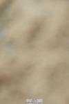 230701A-123345-05766