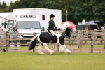 SBM_06174