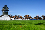 120826-Race 4-Glenfinnan-5153