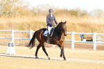 SBM_003508