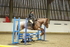 AJG_0055_1