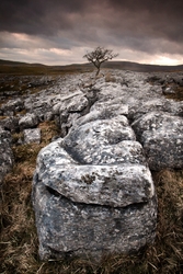 Yorkshire Lime