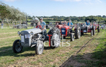Guernsey Agricultural Show 2021-243