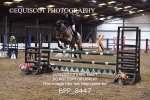 BPP_8447