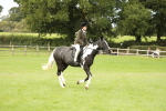 SBM_71617