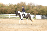 SBM_000739