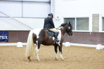 SBM_000727