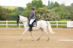 SBM_004605
