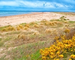 Dornoch Beach