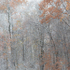 WEEK 45, quiet, muted, colour