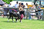 SBM_03655