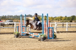 SBM_006215