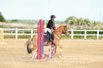 SBM_006606