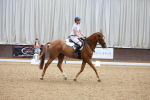 SBM_009256