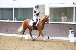SBM_008057