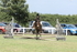 JPP_2014