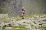 Duddon Long-230