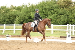 SBM_005184
