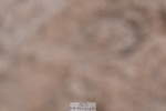 250125-133406-00660