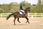 SBM_008032