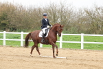 SBM_006685