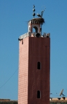 Tall Nest
