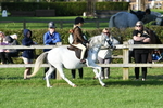 SBM_54050