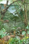 The Cloud Forest (A2 Watercolour Illustration)
