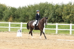 SBM_001164