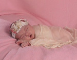 Willow 6