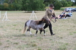 WJ6_6969