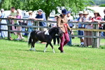SBM_03636