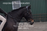 JAC_9821