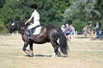 WJ7_9601