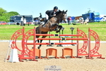 Cls 15 Foxhunter portfolio