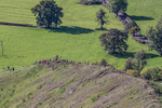 Ilam-21