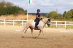 SBM_009775