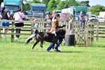 SBM_03694