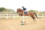 SBM_023956