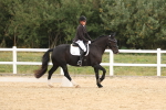 SBM_00941