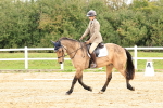 SBM_001438