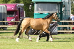 SBM_02088