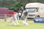 SBM_17354